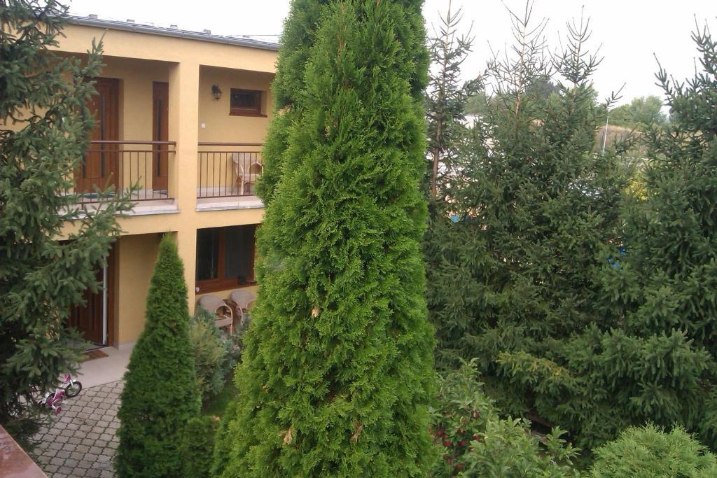 Penzion Oaza トルナヴァ エクステリア 写真